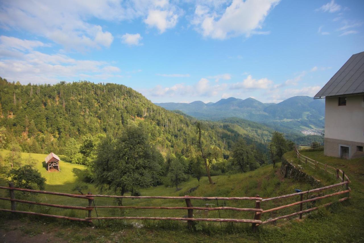 Apartma Gorski Razgled Srednja Vas v Bohinju Buitenkant foto