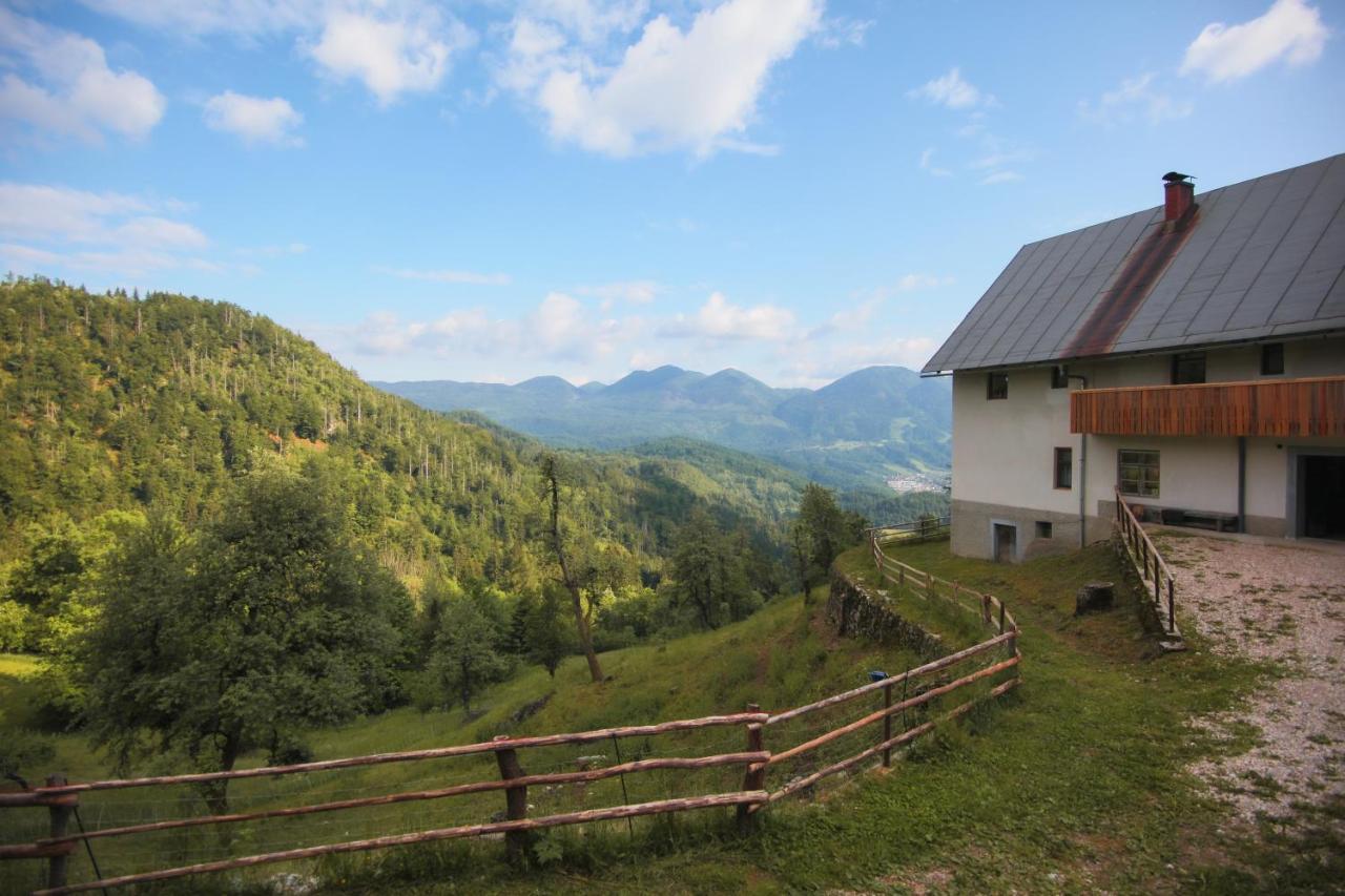 Apartma Gorski Razgled Srednja Vas v Bohinju Buitenkant foto