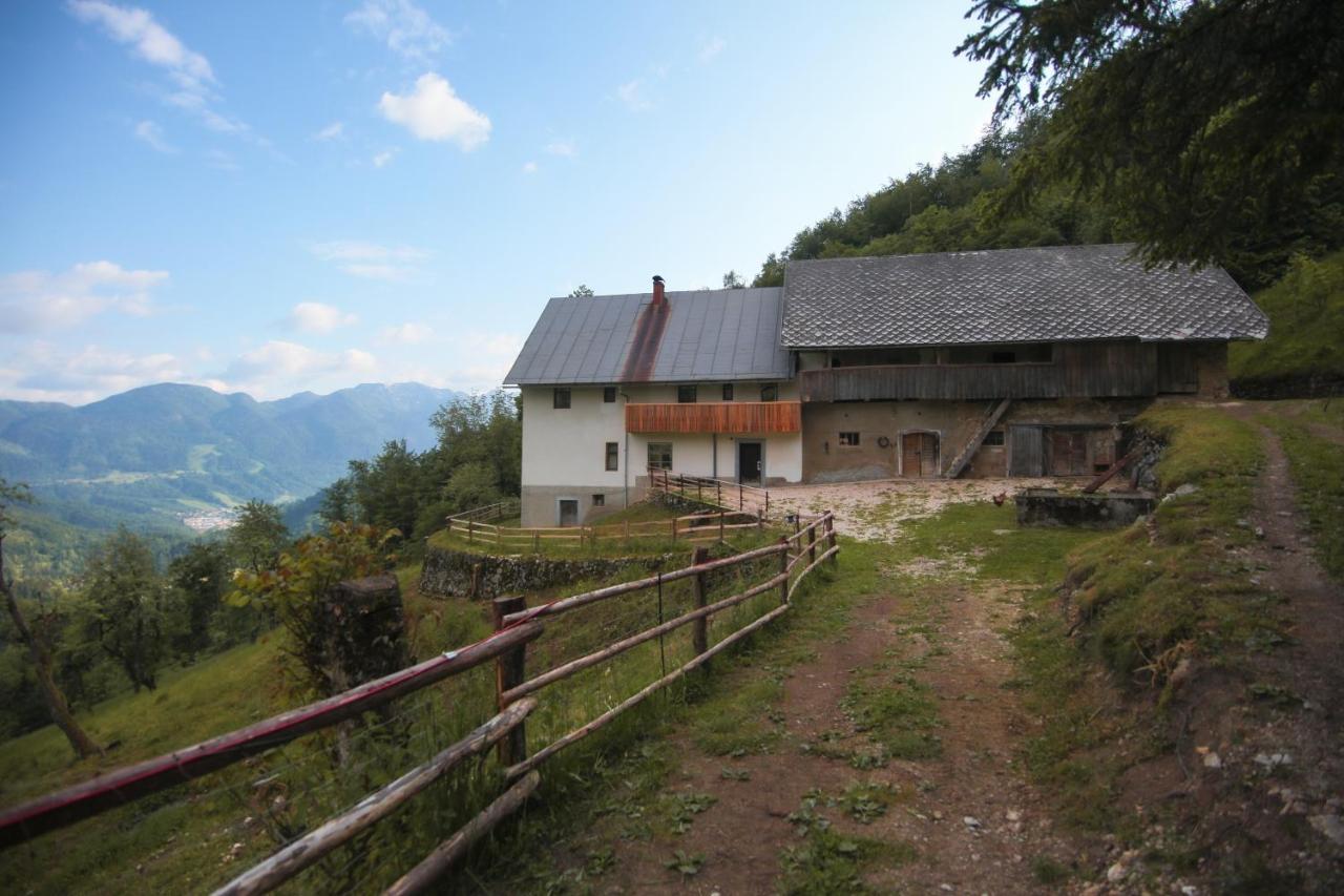 Apartma Gorski Razgled Srednja Vas v Bohinju Buitenkant foto