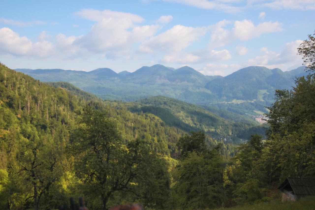 Apartma Gorski Razgled Srednja Vas v Bohinju Buitenkant foto