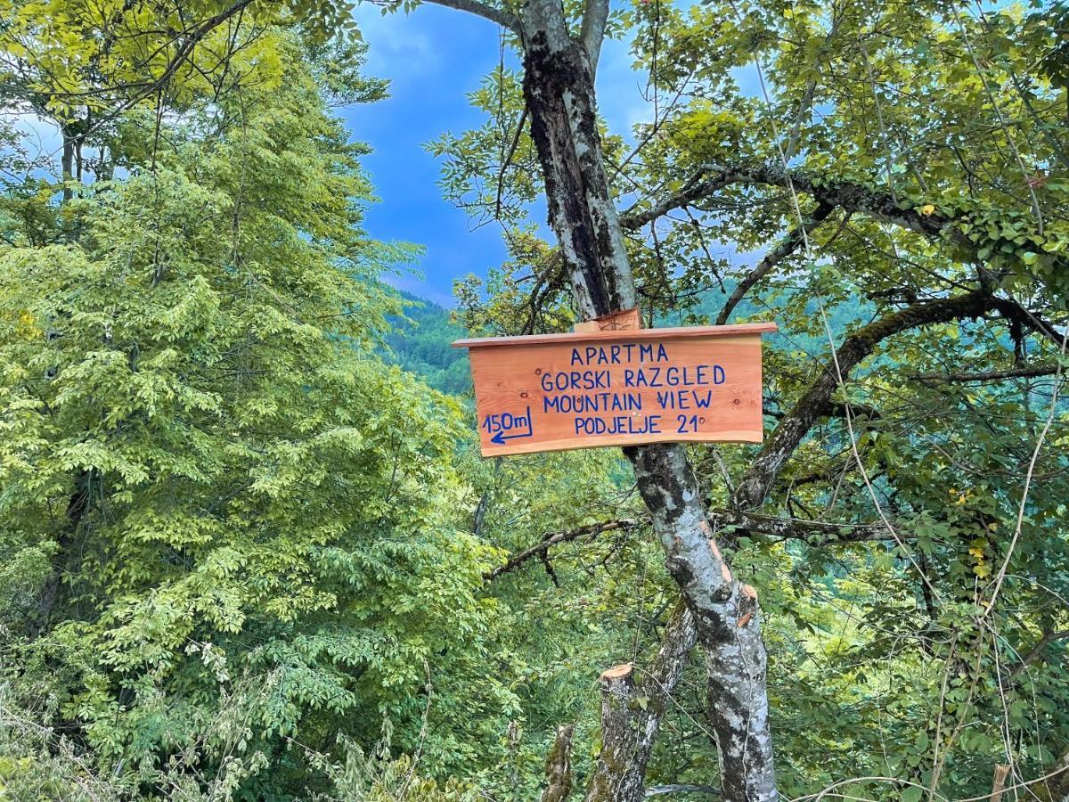 Apartma Gorski Razgled Srednja Vas v Bohinju Buitenkant foto